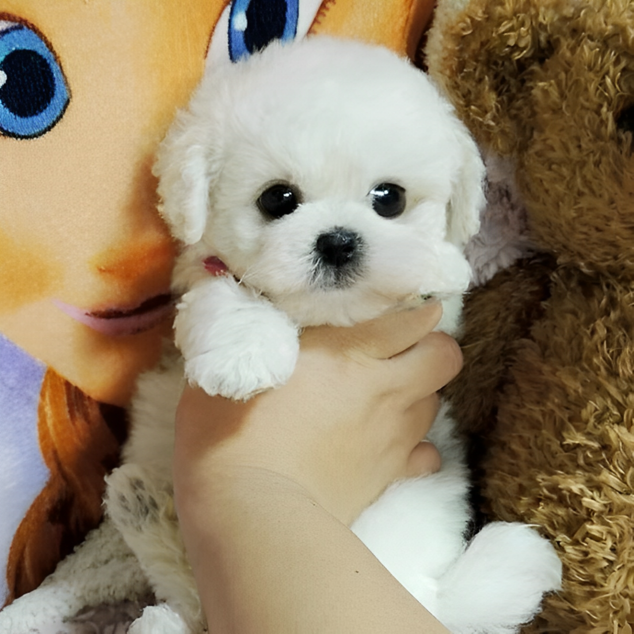 Realistic Plush Teddy Dog – Lucky Soft Cuddly Kids & Collectors